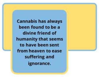 cannabis 1